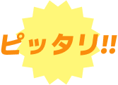 ピッタリ!!